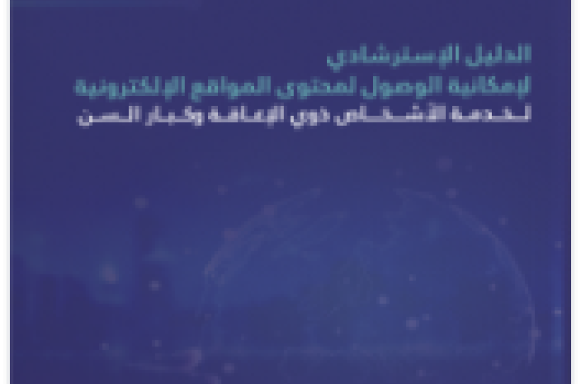 The Guideline for Web Accessibility of Government Websites